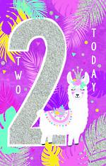 2 Year Old Birthday Card Llama