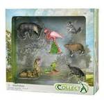 CollectA Wild Life Animal Figures Gift Set - Pack of 8