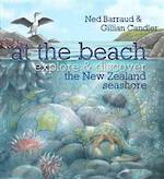 At The Beach Explore & Discover The New Zealand Seashore