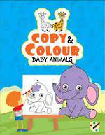 Copy & Colour - Baby Animals