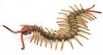 CollectA Centipede 88885