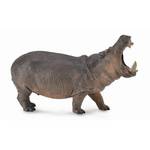 CollectA Hippopotamus