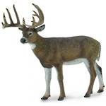 CollectA White Tailed Deer