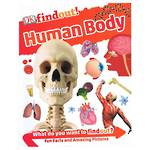 DK Findout Human Body