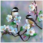 Diamond Art Birds & Cherry Blossoms