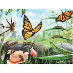 Frame Tray Puzzle Treasures Of Aotearoa Bugs & Butterflies (96pc)