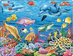 Larsen Puzzle Marine Life On A Coral Reef (35 pc)