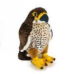 Real Sound Puppet NZ Falcon Karearea