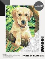 Reeves Paint By Numbers Playful Labrador