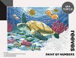 Reeves Paint By Numbers Sea Turtle