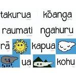 Magnetic Learning Resources Seasons in Maori