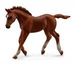 CollectA Thoroughbred Foal Walking Chestnut