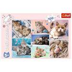  World of Cats  -   Trefl( Puzzle 100 pieces)