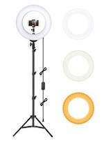 Dual Color Dimmable LED Ring Light with Carry Bag