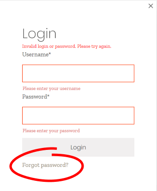 forgot-password2